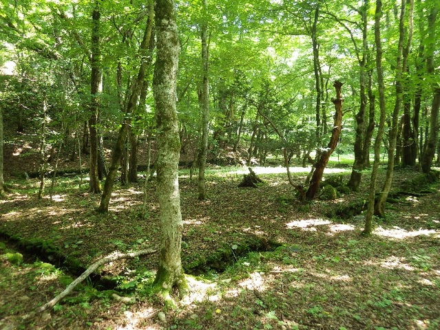 03-4 本社事務所.jpg 03-4 本社事務所.jpg